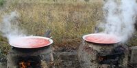 رونق گرفتن پخت خانگی رب گوجه فرنگی؛ گرانی تنها دلیل نیست!