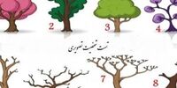 تست شخصیت شناسی با انتخاب یکی از این 9 درخت!