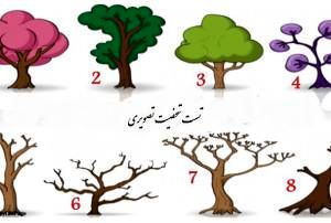 تست شخصیت شناسی با انتخاب یکی از این 9 درخت!
