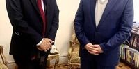 دیدار مدیرکل خاورمیانه وزارت خارجه هند با عراقچی