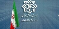 اطلاعیه وزارت اطلاعات درباره دستگیری ۲۵ نفر از سربازان صهیون