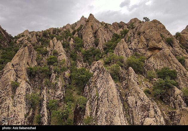 image33