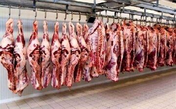واردات 200 هزار تن گوشت قرمز به کشور + جزئیات