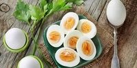 فواید و مضرات تخم مرغ را بشناسید