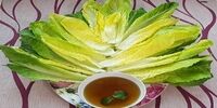 خواص شگفت آور سکنجبین و کاهو  که نمی دانستید 

