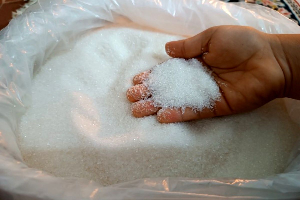 قیمت مصوب شکر در بازار چقدر است؟/ آخرین وضعیت واردات و تولید شکر