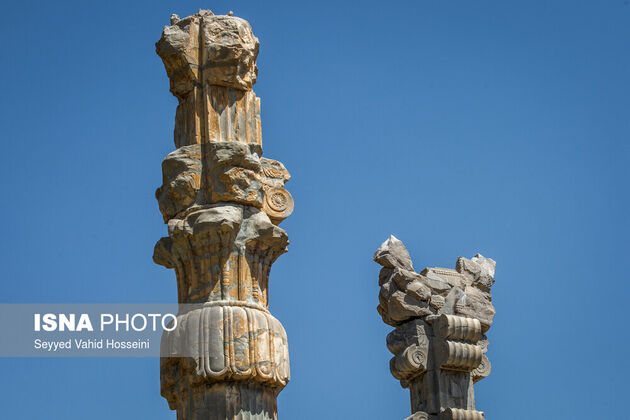 57931141_seyyed-vahid-hoseyni-2