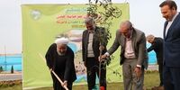 روحانی در روز درختکاری یک نهال بلوط در محوطه ایستگاه راه‌آهن رشت غرس کرد