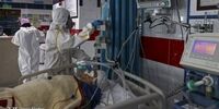 رکوردشکنی کرونا با جهش مرگبار دلتا