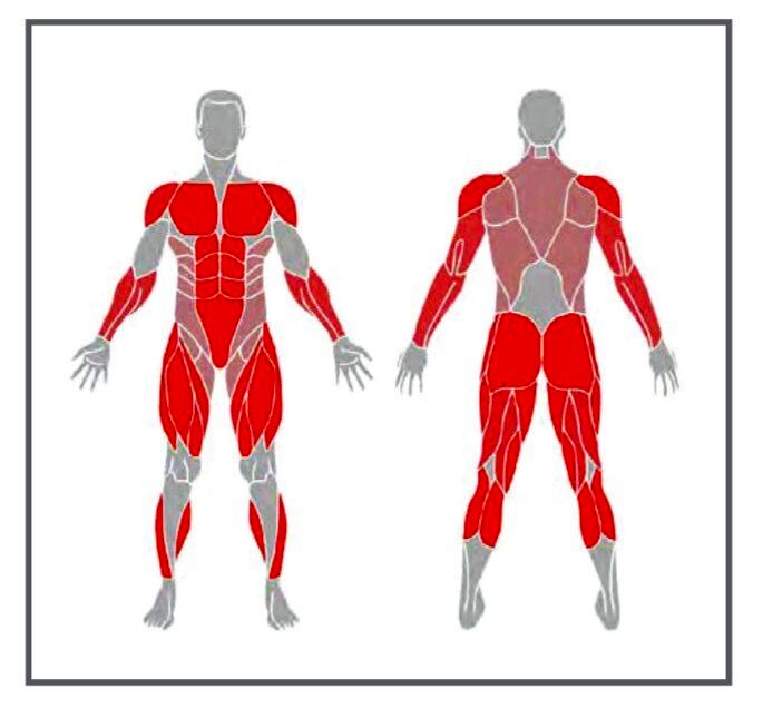 ورزش در خانه؛ برنامه انفجاری برای کاهش وزن + عکس