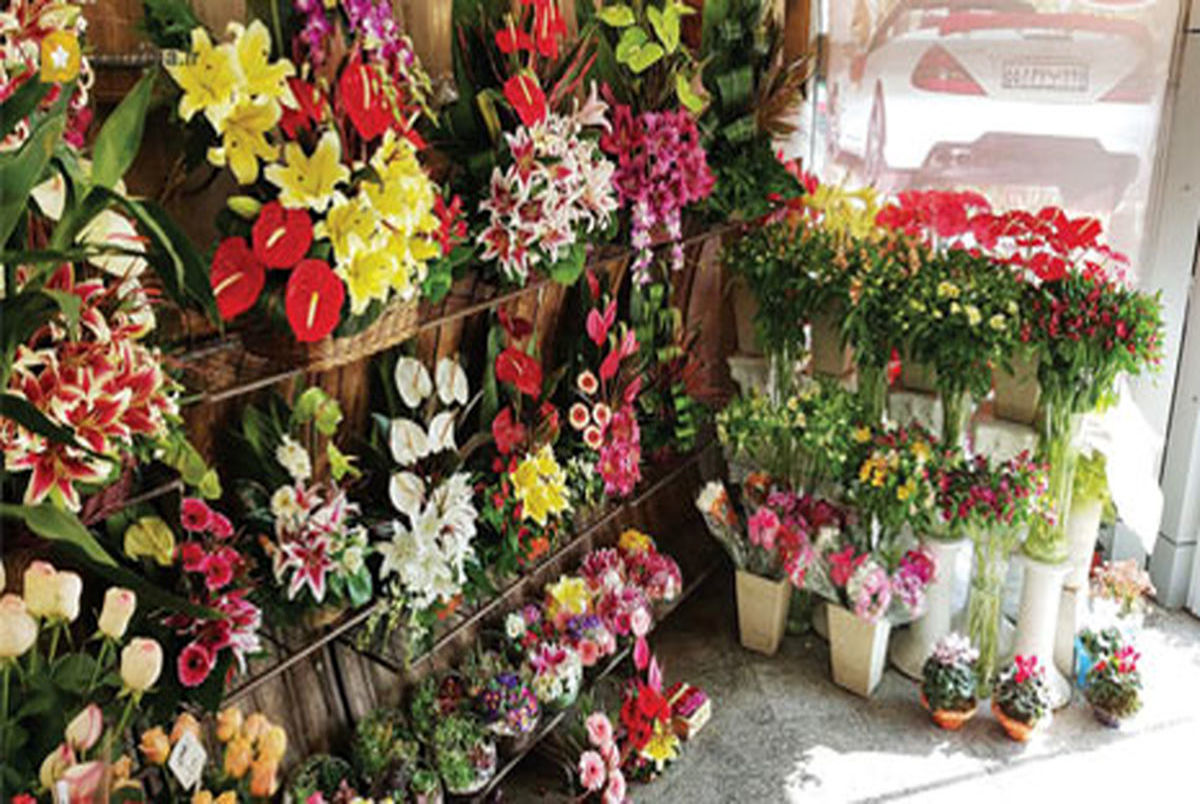 جدیدترین قیمت گل و گیاه شب عید / پر فروش ها را بشناسید