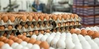 قیمت هر کیلو تخم مرغ درب مرغداری چقدر است؟
