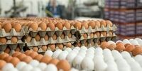 قیمت هر کیلو تخم مرغ درب مرغداری چقدر است؟
