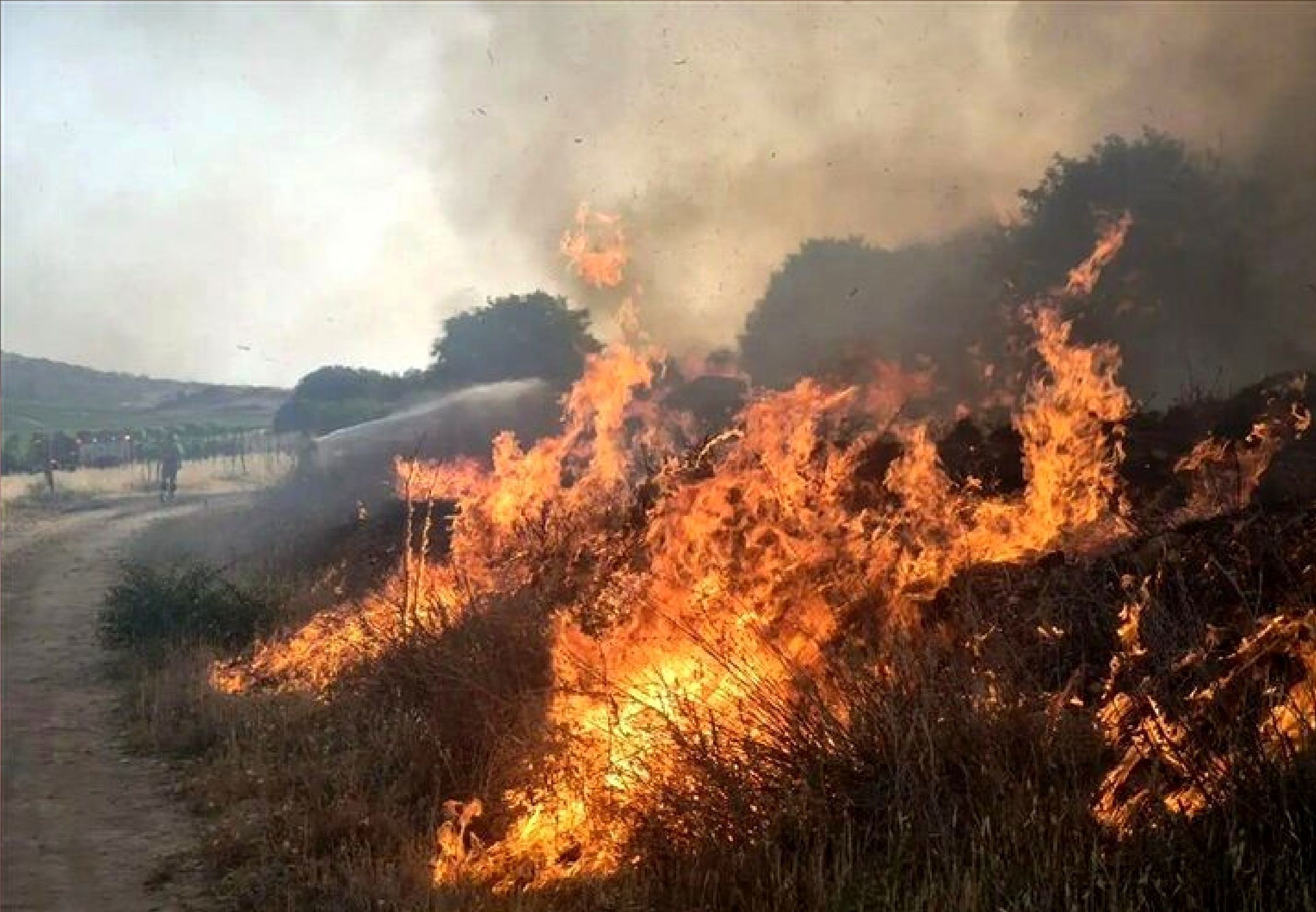 توضیحات خلبان نیروی هوافضای سپاه درباره خاموش کردن آتش جنگل الیت/ حضور نیروهای کمکی از کشورهای دیگر چه تاثیری داشت؟

