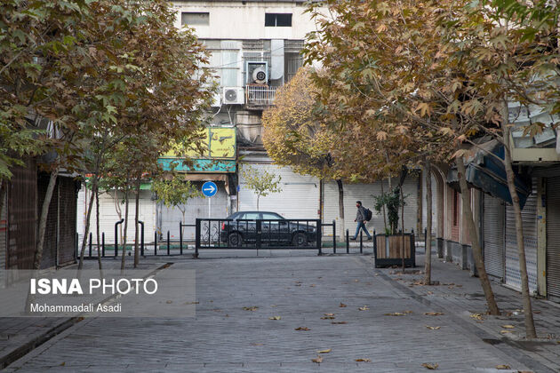 منوچهری، لاله زار