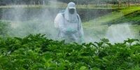 عبور استفاده از سموم غیراستاندارد با 3 روش
