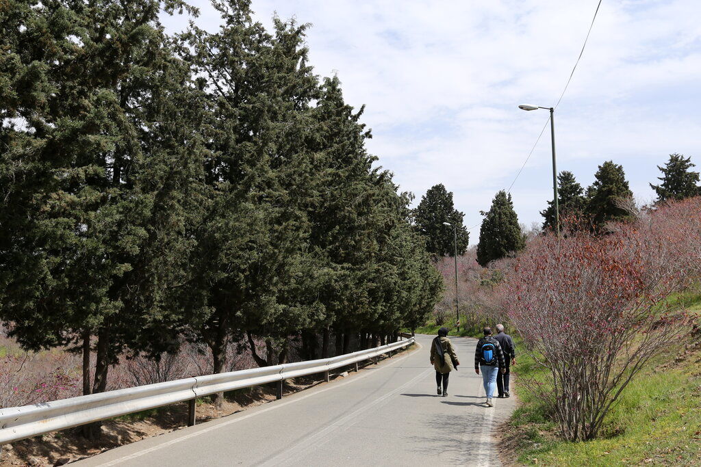 بوستان سرخه‌حصار تا پایان جنگ تحمیلی تعطیل است