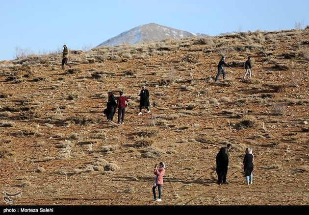 حضور مردم در منطقه سقوط هواپیمای ATR