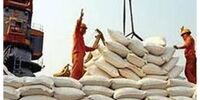 از سرگیری ترخیص کالاهای اساسی از گمرک بندر شهید رجایی طی امروز