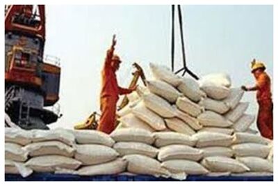 از سرگیری ترخیص کالاهای اساسی از گمرک بندر شهید رجایی طی امروز