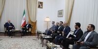 جزئیاتی از دیدار علی لاریجانی با وزیر انرژی روسیه
