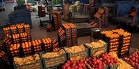 این محصول کشاورزی ایران بیشترین طرفدار جهانی را دارد