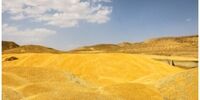 برداشت نزدیک به 2 هزار تن گندم در این شهرستان