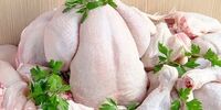 قیمت مرغ همچنان در کانال ۱۶ هزارتومانی است