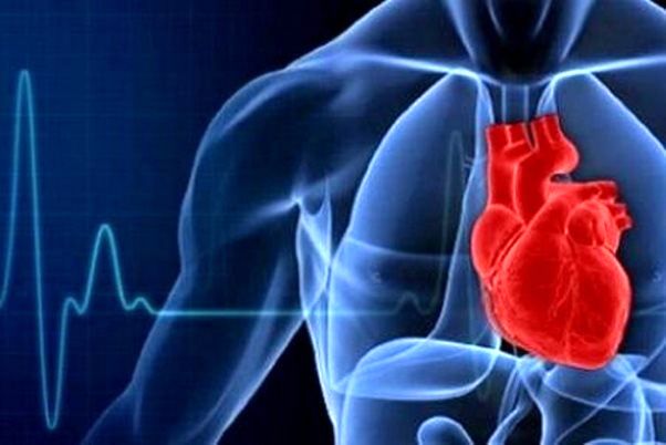 علت شیوع بالای حمله‌های قلبی در انسان
