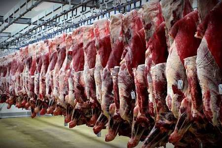 تولید 25 هزار تن گوشت قرمز در قزوین