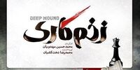 حمله تند کیهان به کارگردان «زخم کاری»
