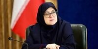 اولین واکنش دولت به توافق آتش بس در غزه| مهاجرانی: توقف جنایات در غزه پایان راه نیست