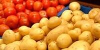 قیمت این صیفی جات 15 در صد کاهش یافت