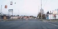 برخورد وحشتناک صاعقه به پرنده بدشانس در حال پرواز + فیلم