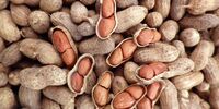 آلرژی به بادام زمینی چگونه تشدید می‌شود؟
