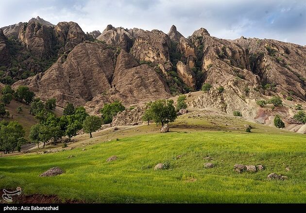 image10