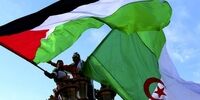 انتقاد شدید از سفر وزیر جنگ اسرائیل به مغرب/ هدف گانتز چیست؟
