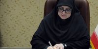 سخنگوی دولت: میدان و دیپلماسی در کنار هم از ایران دفاع می‌کنند