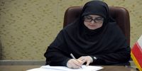 سخنگوی دولت: میدان و دیپلماسی در کنار هم از ایران دفاع می‌کنند