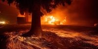 آتش‌سوزی در جنگل شمالی کالیفرنیا و نابودی شهر پردایس