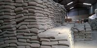 امارات از واردات سیمان ایرانی طفره رفت/ جزئیات دستور ممنوعیت تازه از سوی ابوظبی 