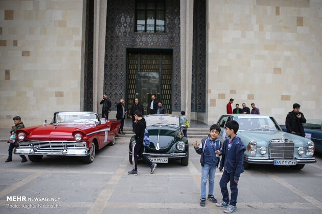3077635_IMG_8029