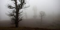رمز و راز در مه ...+تصاویر