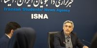 معاون پیشین سازمان انرژی اتمی به شهادت رسید