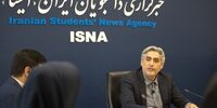معاون پیشین سازمان انرژی اتمی به شهادت رسید