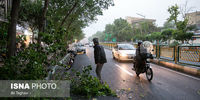 هشدار مدیریت بحران درباره وزش باد شدید در پایتخت