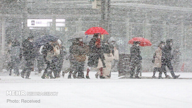 CdWWF0upjiZo