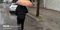 ورود سامانه بارشی جدید به کشور/ آسمان این مناطق بارانی می شود

