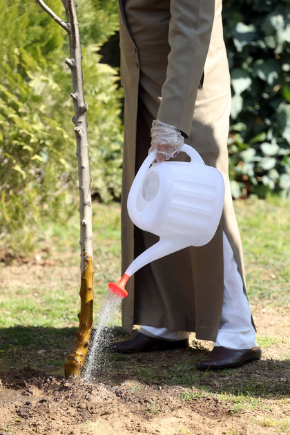 تصاویر مقام‌معظم‌رهبری حین کاشتن دو نهال میوه در روز درختکاری