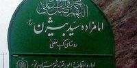 توضیح معاون فرهنگی اوقاف در خصوص اشتباه نامگذاری «امامزاده بیژن»